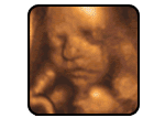 Imagery from 28 weeks